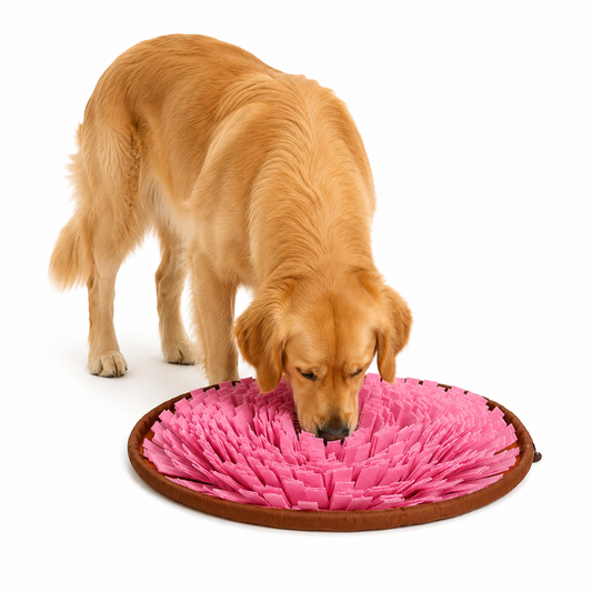 Slow-Feed Anti-Schling-Napf für Hunde