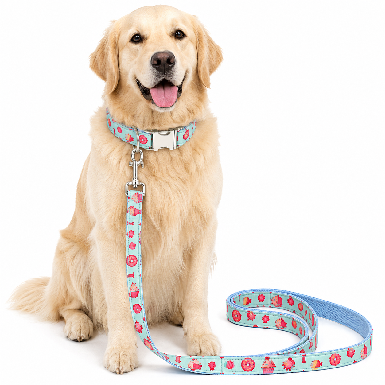 Frucht Leinen-Set für große Hunde