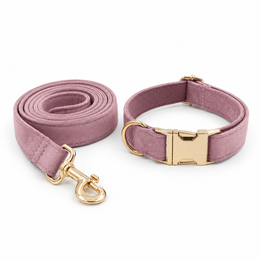 Cremig-Kaffee Samt Halsband und Leinenset